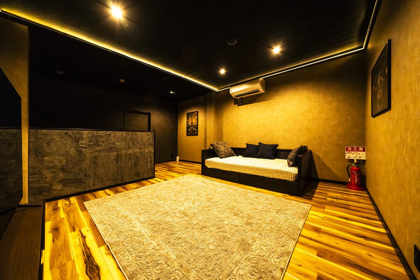 Theatre living room